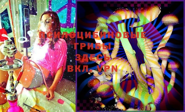 бошки Магадан